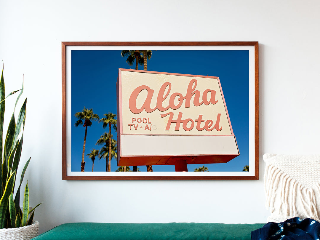 Evan Hecox Palm Spring Desert ポスター サイン入り Evan Hecox Palm Spring Desert ポスター 2009年 AP Edition 60